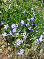 CIMG0628.webp