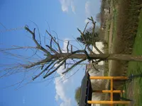DSCF4443.webp