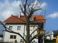 DSCF4442.webp