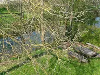 Holzerei3.webp