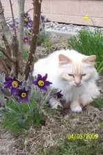 100_1395[1].webp