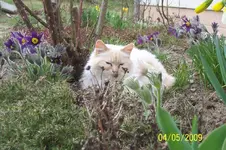 100_1394.webp