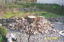 100_1409.webp