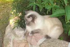 100_1251.webp