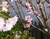 P1040767_600_470.webp