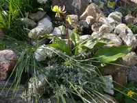 P1040811_600_450.webp
