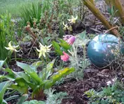 P1040817_600_508.webp