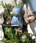 P1040781_517_600.webp