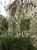 DSCN5820.webp