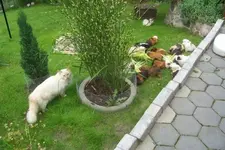 100_0996.webp