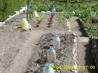 SA500042.webp