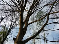 relax2.webp