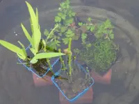 Zinkwanne1.webp