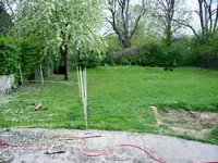 garten1.webp