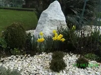 insel,teddy,kl 006.webp