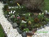 chri,teddy,kl 005.webp