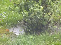 DSCN5827.webp