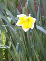 SA500052.webp