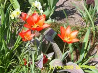 SA500001.webp