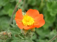 CIMG5306.webp