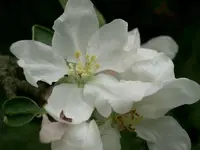 CIMG5310.webp