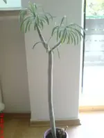 !cid_1240057982l_17335l.webp