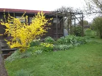 Garten April09 015.webp