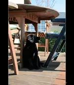 fc_1395.webp