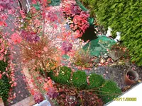 Garten 1.webp