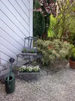 Bild027_klein.webp