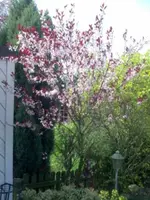 Bild028_klein.webp