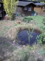 Bild029_klein.webp