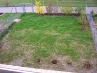 Bild 123.webp