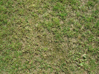 DSC05060.webp
