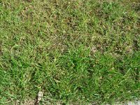 DSC05062.webp