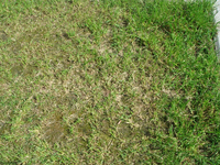 DSC05063.webp