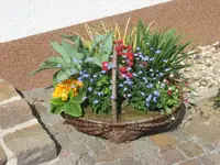 Bild 020.webp