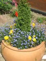 Bild 021.webp