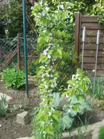 Bild 024.webp