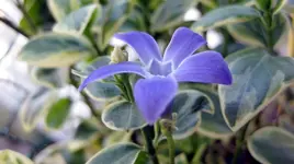 IMG_0443.webp