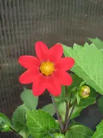 garten09 002.webp