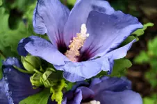 CIMG2807.webp
