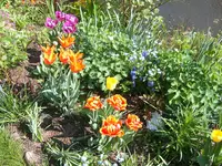 SA500107.webp