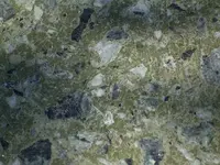 RIMG1252.webp