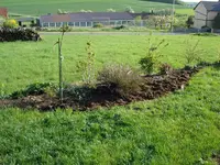 Erweiterung Rosenbeet.webp