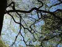 P1040957_600_450.webp