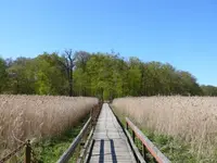 P1040953_600_450.webp