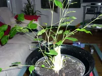 P1030847.webp