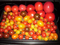 Impressionen 005.webp