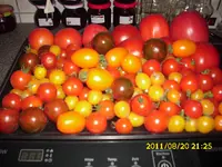 Impressionen 007.webp